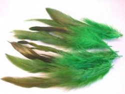 Plumas naturales